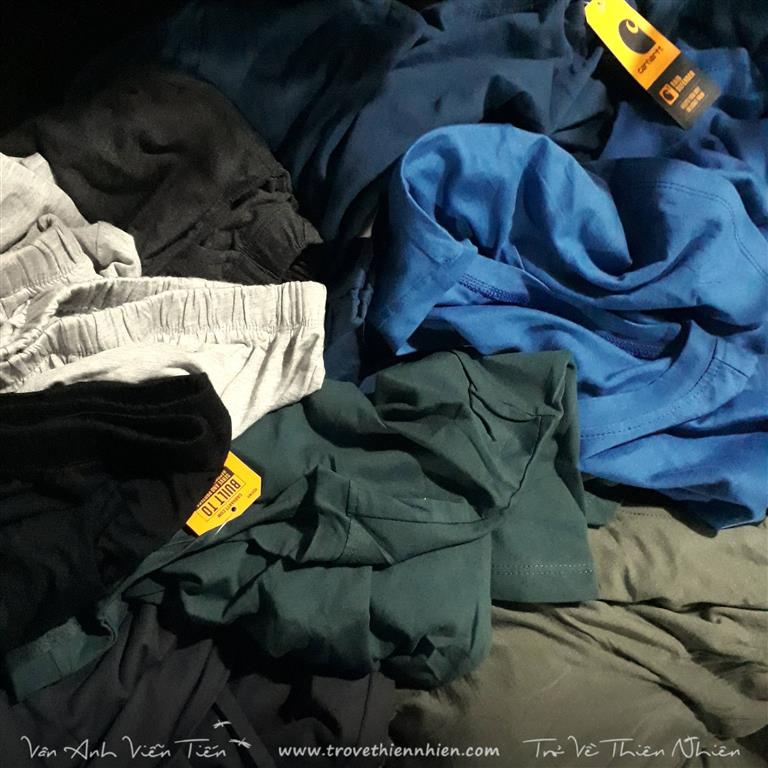 quan dui cotton (5) (Medium)